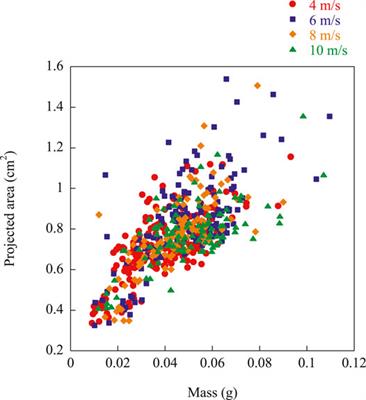 Investigating the Effect of Structure to Structure Separation Distance on Firebrand Accumulation